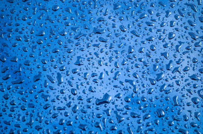 How to clean and maintain deco wall murals